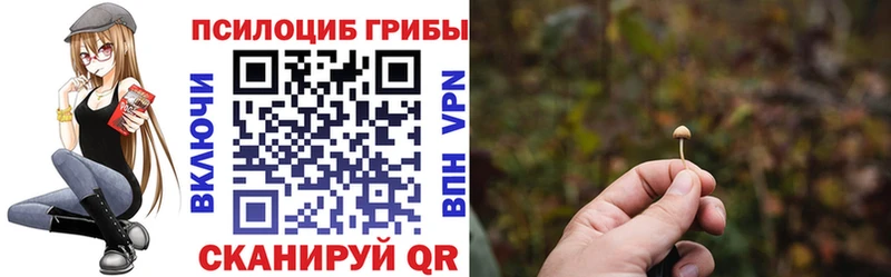 Псилоцибиновые грибы Psilocybe  Купить где  Белёв 